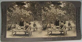 A Family Picnic under the Cherry Blossoms, Omuro Gosho, Kyoto, Japan.