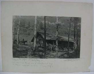 Among the Aspens at Camp May