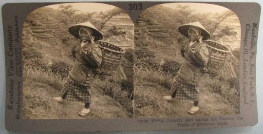 A Country Girl among the Famous Tea Fields of Shizuoka, Japan