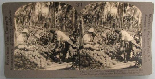 Husking Coconuts-Familiar Scene in the Great Coconut Country near Pagsanjan, I. of Luzon, P.I.