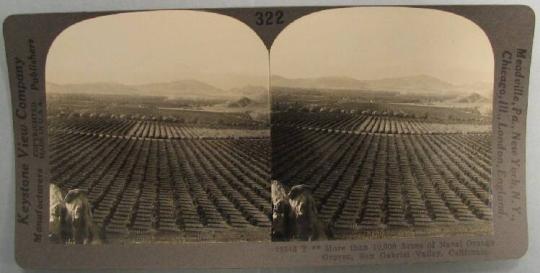 More than 10,000 Acres of Naval Orange Groves, San Gabriel Valley, California.