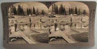 Poling Logs in McCloud River Lumber Co.'s Mill Pond-Toward Mt. Shasta (14442 Ft.) Calif.