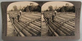 Stupendous Log Raft Containing Millions of Feet of Timber, Columbia River, Oregon.