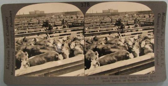 Great Union Stock Yards, Largest Live Stock Market on Earth, Chicago, Ill.