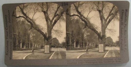 Where Washington Took Command of the American Army-Washington Elm, Cambridge, Mass.