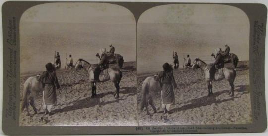 On the north Shore of the Dead Sea-looking southwest-Palestine.