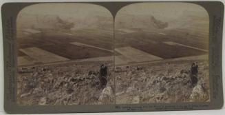 Looking northesat from the Mount of Beautitudes to the Sea of Galilee, Palestine (St. Matt. vi)