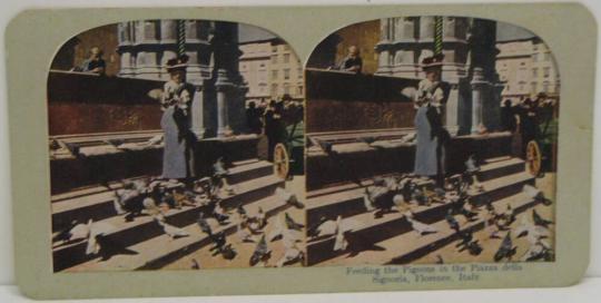 Feeding the Pigeons in the Piazza della Signoria, Florence, Italy.