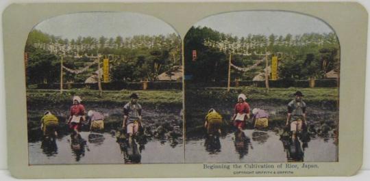 Beginning the Cultivation of Rice, Japan.