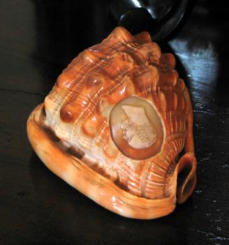 "Cameo Helmet" mollusk (Cypraeacassis rufa) with carved cameo (one of a pair)