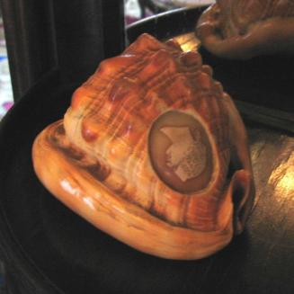 "Cameo Helmet" mollusk (Cypraeacassis rufa) with carved cameo (one of a pair)