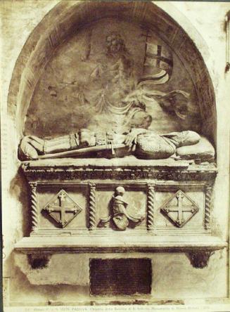 P.I.N.  12270 PADOVA  Chiostro della Basilica di S. Antonio.  Monumeto di Manno Donati.  (1370)