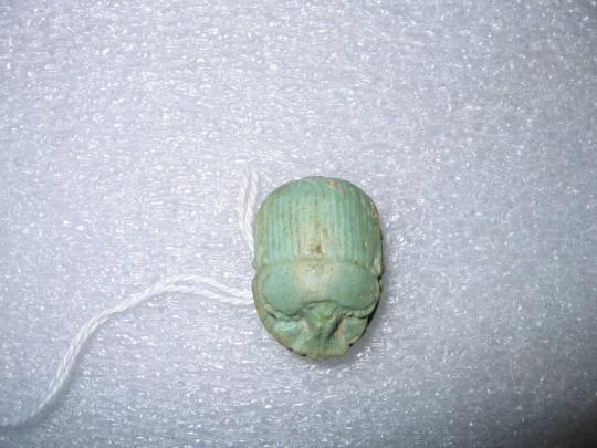 Scarab