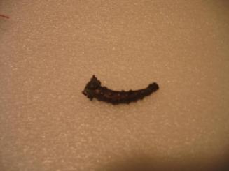 Horn Goldweight