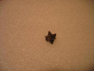 Three Dimensional Star Gold Weight