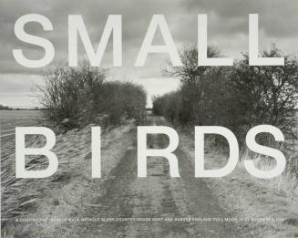 Small Birds