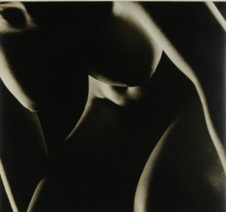 Nude Abstraction