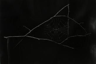 Untitled (MacDowell Web)