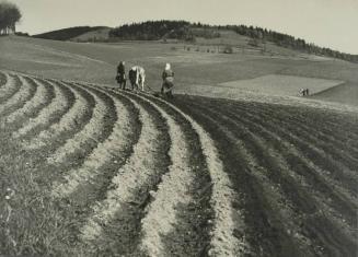 Farmhands Plowing the Fields