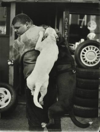 Robert and His Watchdogs, Beford Avenue Tire Shop