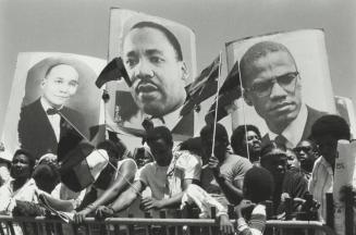 Three Placards, New York City