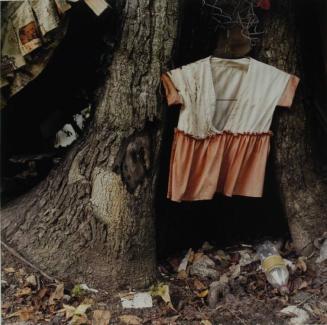 Child's Dress in Tree Trunk
