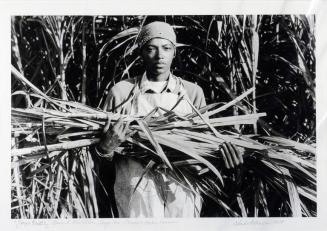 Joyce Priestly, "Sugar Cane Scraper", Bessie K. Plantation, Vacherie, Louisiana