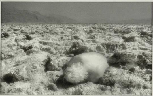 Self Portrait, Death Valley