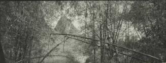 Yangshuo, China, (#8, Bamboo Forest)
