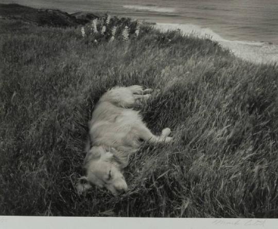 Ebby, San Gregorio