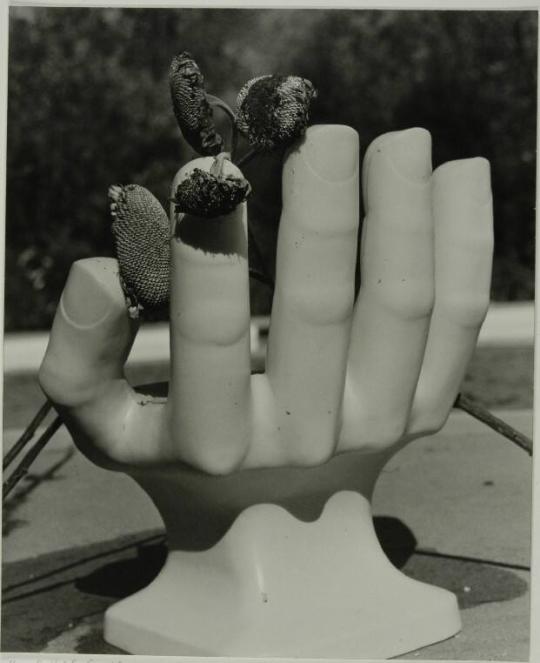 Hand-held Sunflowers