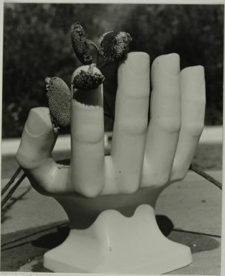 Hand-held Sunflowers