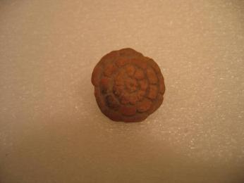 Disk with Molded Flower