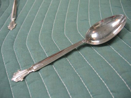 Serving Spoon