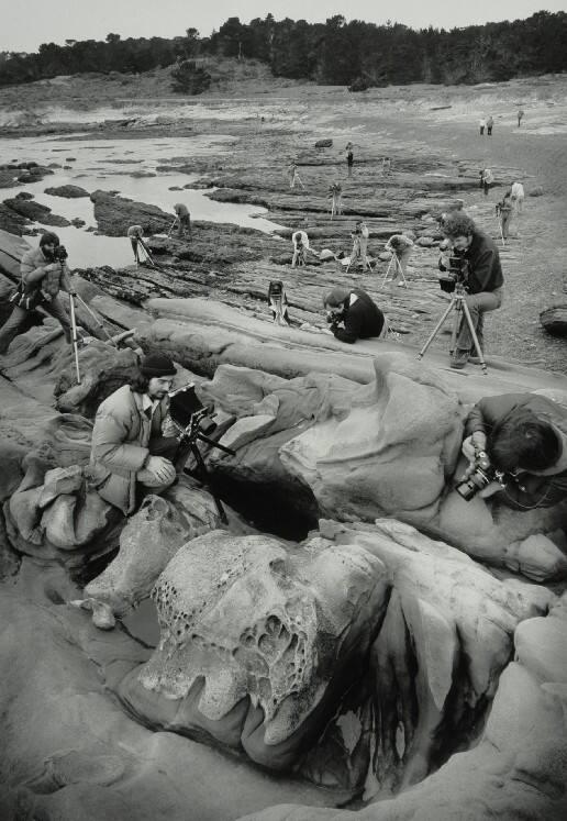 Point Lobos and Photographers