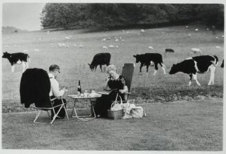 Picnic, Glyndebourne