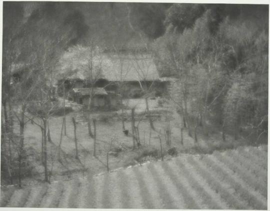 Spring Sunlight Falling on a Hillside Farm Hanno, Saitama, Japan