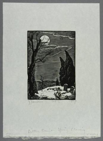 Graveyard in Moonlight