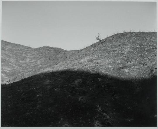 Burned-over Hillside near Los Angeles, CA