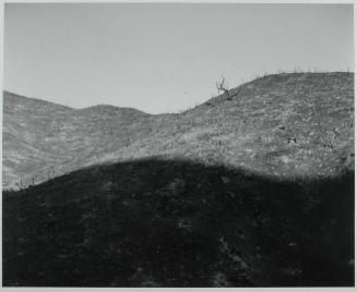 Burned-over Hillside near Los Angeles, CA