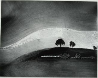 Two trees on a hill with shadows, Paso Robles, CA