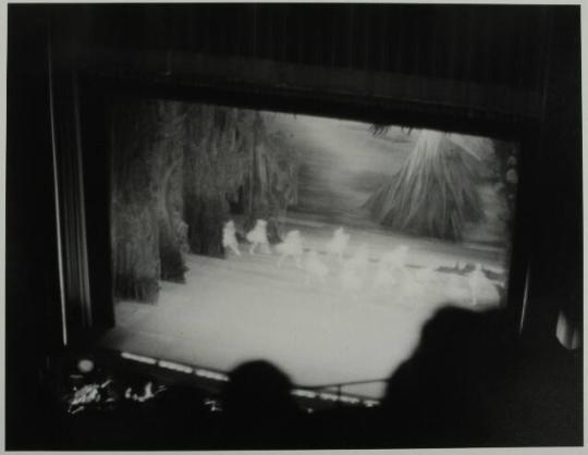 Swan Lake, Lincoln Center