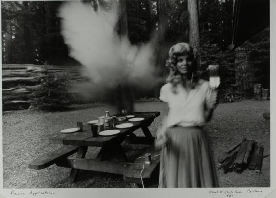 Picnic Applications, Humboldt State Park, CA