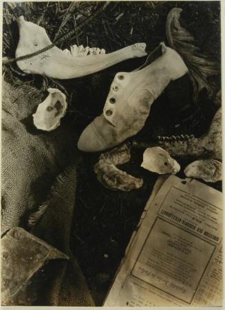 Still Life with Shoe and Jaw Bone