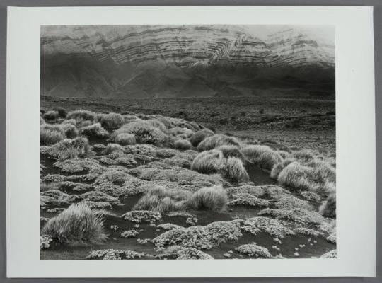 Landscape, Patagonia