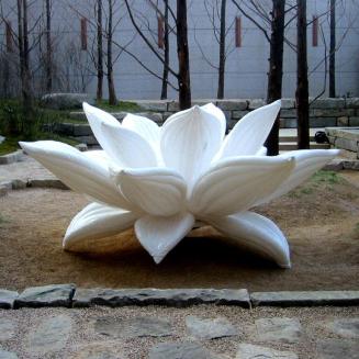 White Lotus Blossom