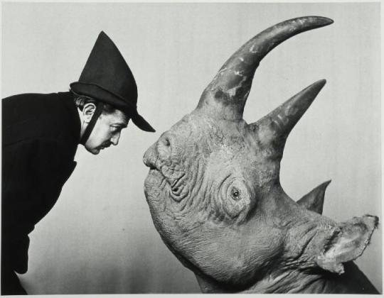 Dali with Rhinoceros