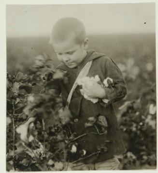 Four year old cotton picker. Waxahachie [vicinity], Texas.