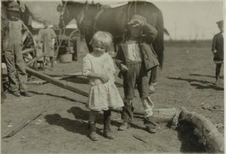 Four year old cotton picker who picks fifteen pounds a day regularly and a seven year old who picks fifty pounds a day. McKinney [vicinity], Texas.