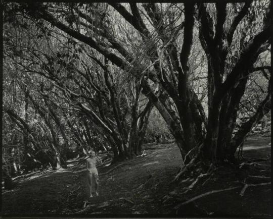 Lucia in Woods (San Carlos Ranch)